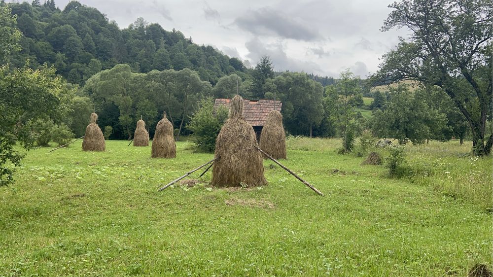 Продається ділянка у горах Закарпаття село Голятин