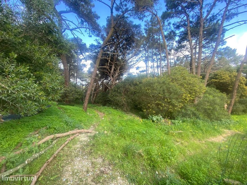 Terreno Rústico em Almoçageme