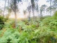 Terreno em Sapardos de 612,00 m2