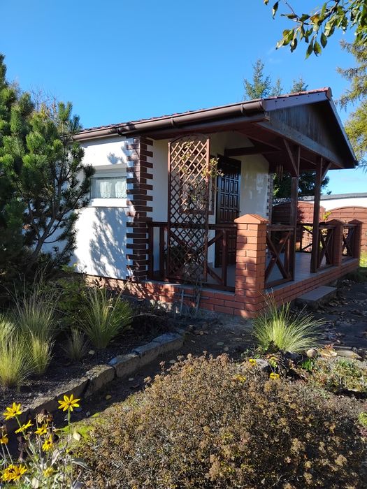 Działka ROD Polania w Gnieźnie