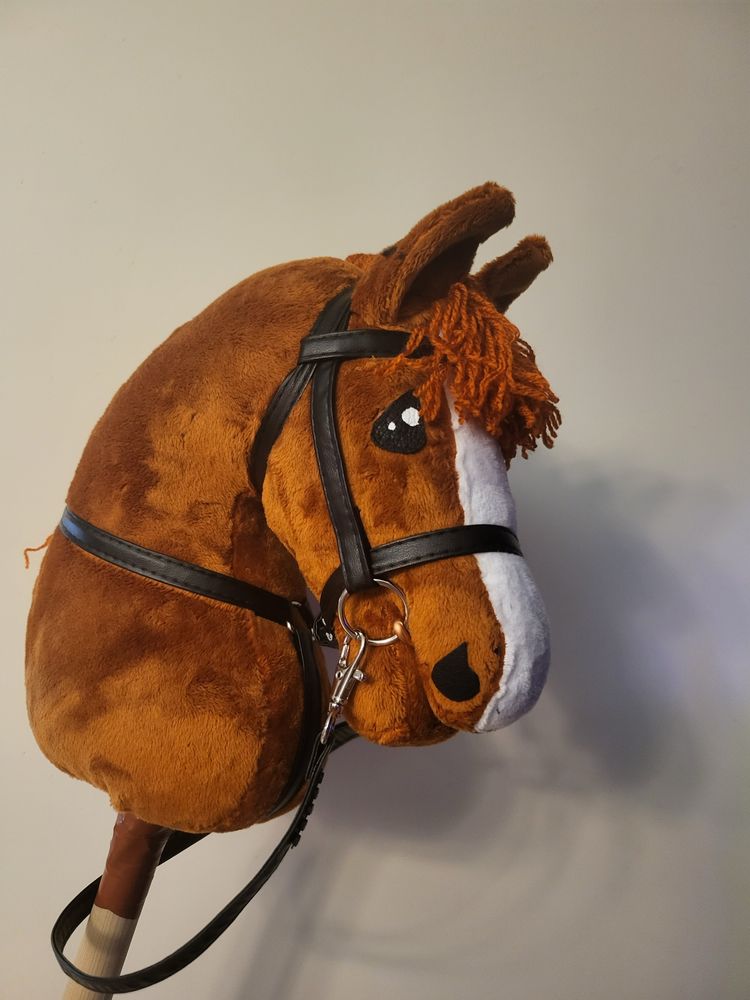Hobby horse rudy