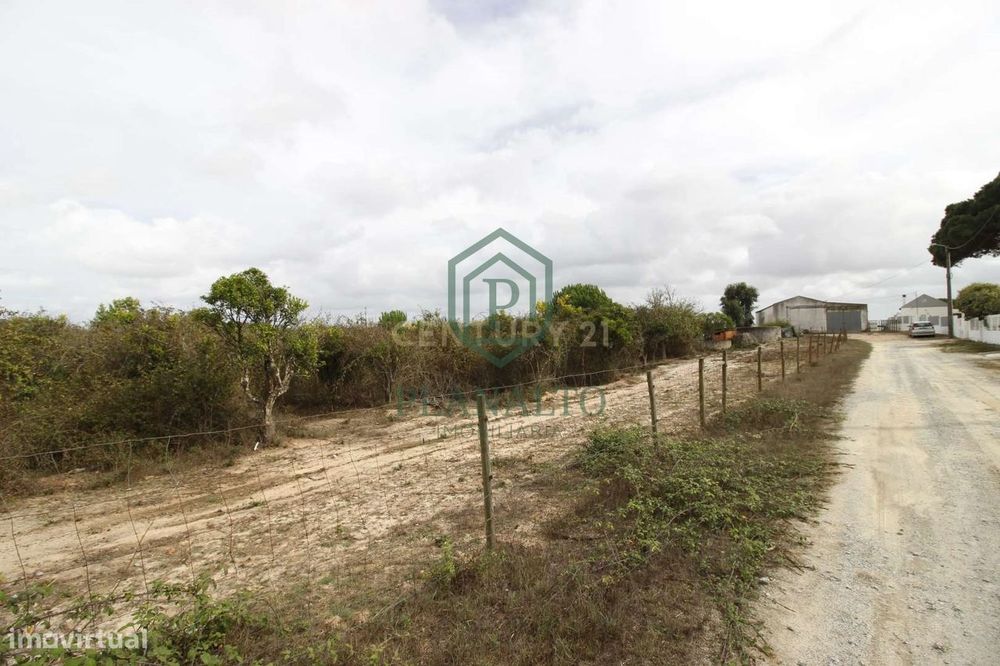 Quinta  Venda em Vendas Novas,Vendas Novas