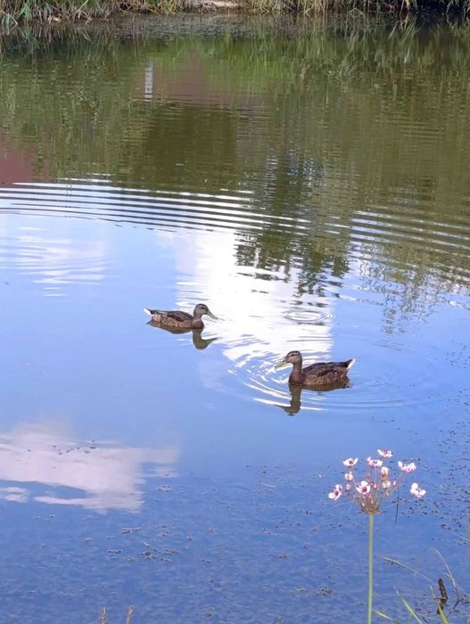Дачний будинок -затишок і спокій !