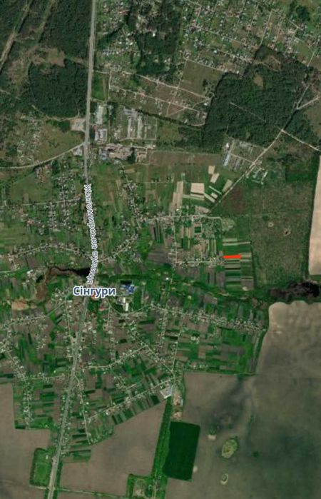 с.Сінгури. ділянка 14,96сот Продаж або в оренду.ОСГ,приватизована,