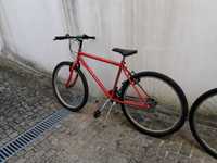 2 Bicicletas (vermelha e azul)