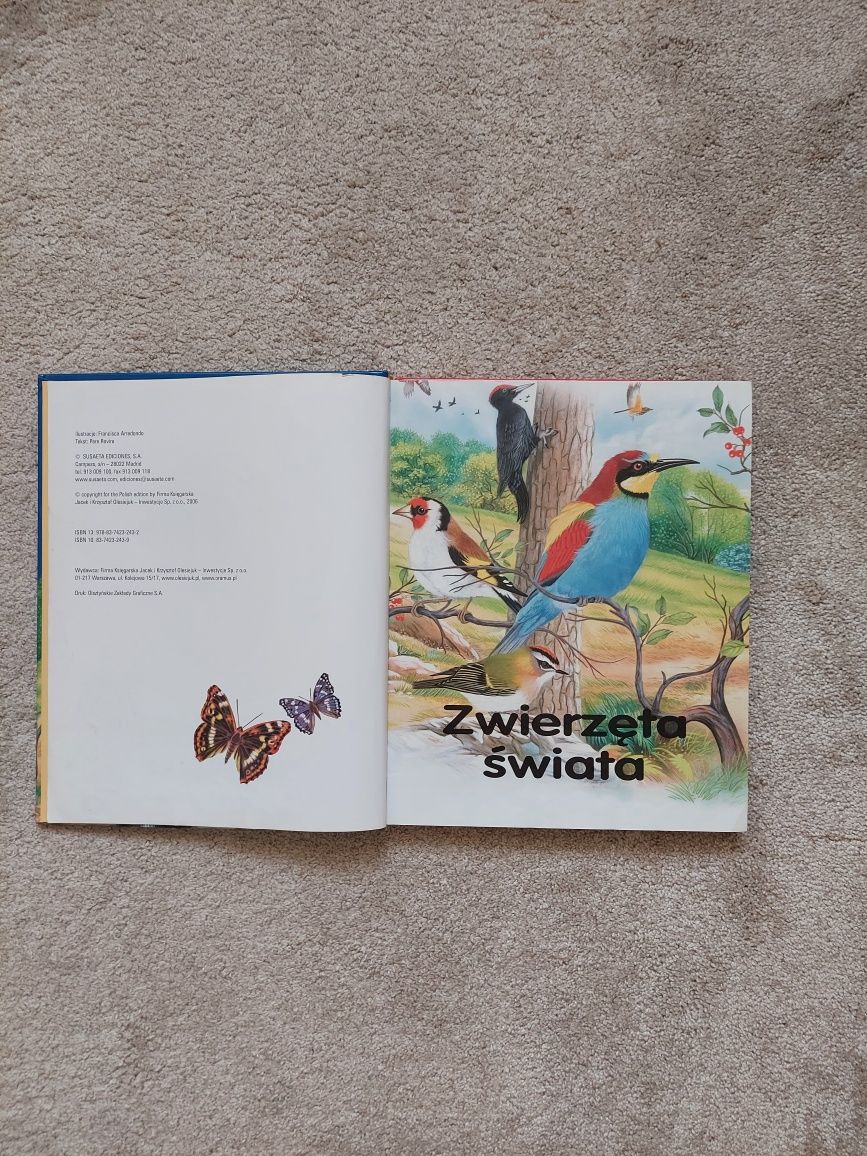 Książka dla dzieci Zwierzęta świata duże litery