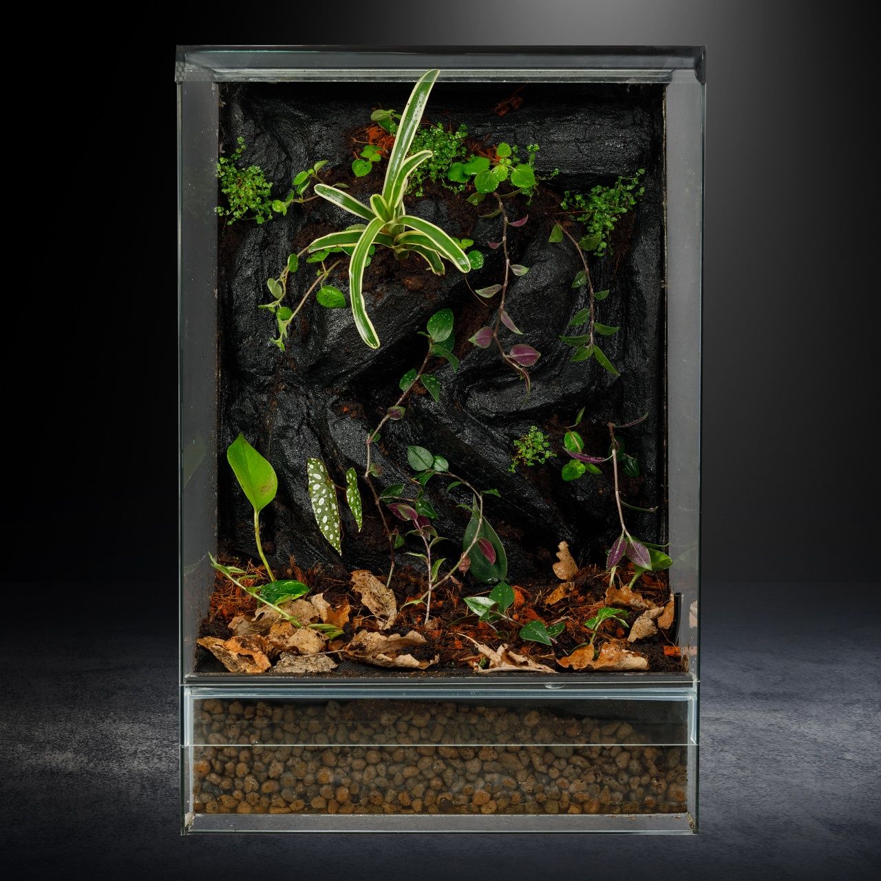 Terrarium dla gekona