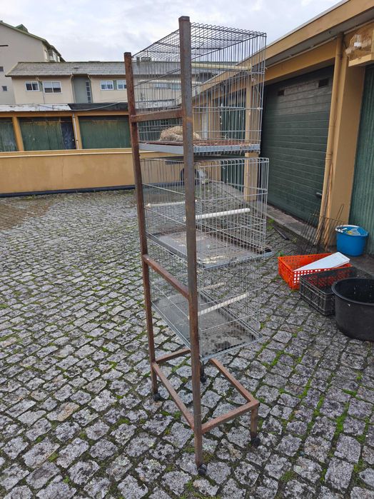 Viveiros de canários