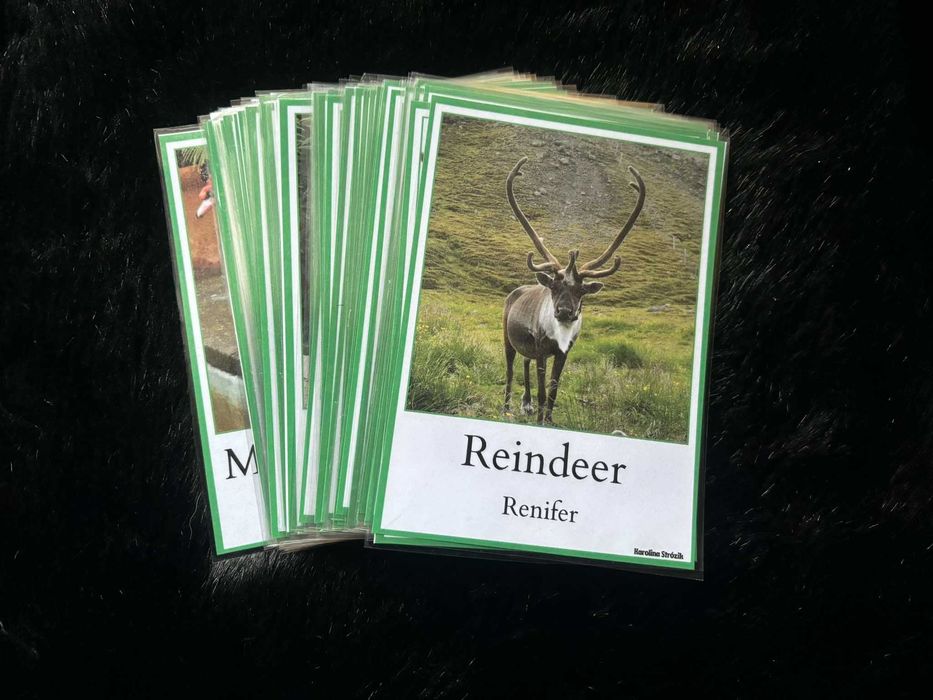 Karty demonstracyjne Montessori Zwierzęta na farmie po ang laminowane