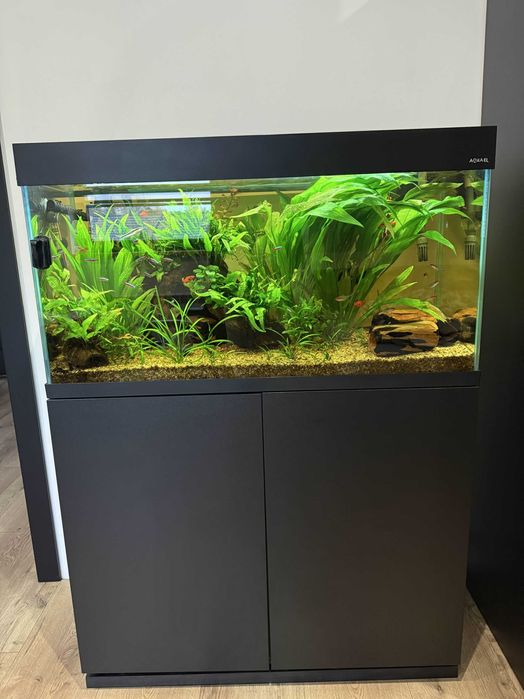 Akwarium 200L Aquael Optiset 200 czarny z szafką i osprzętem