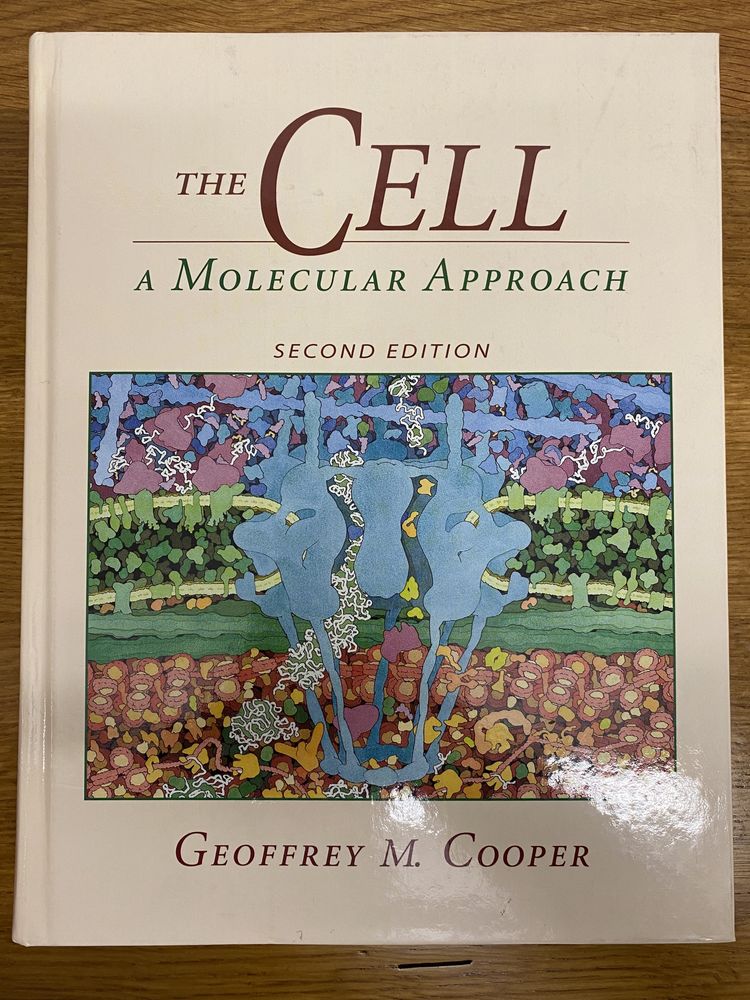 The cell - a molecular approach