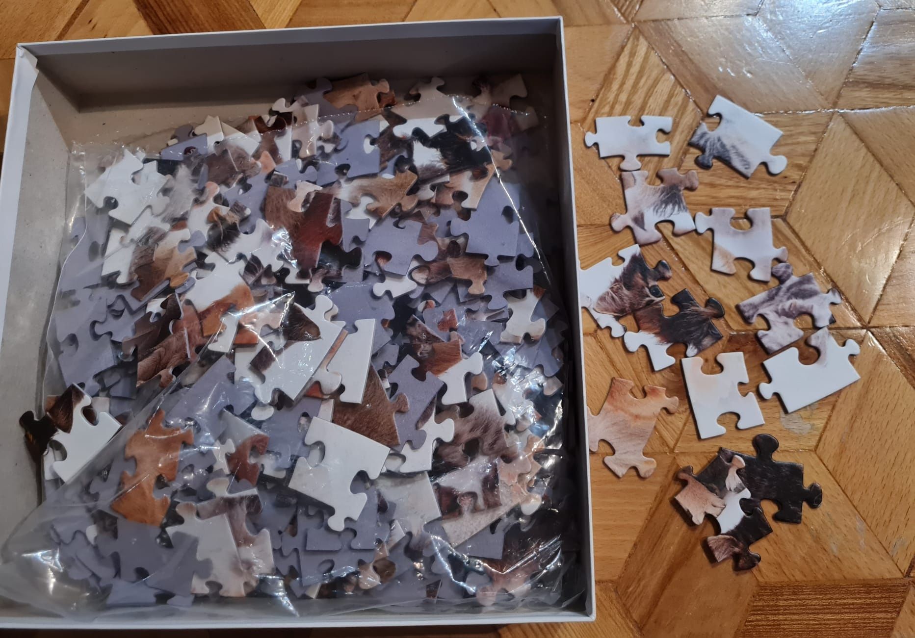 Okrągłe puzzle 300 zwierzęta