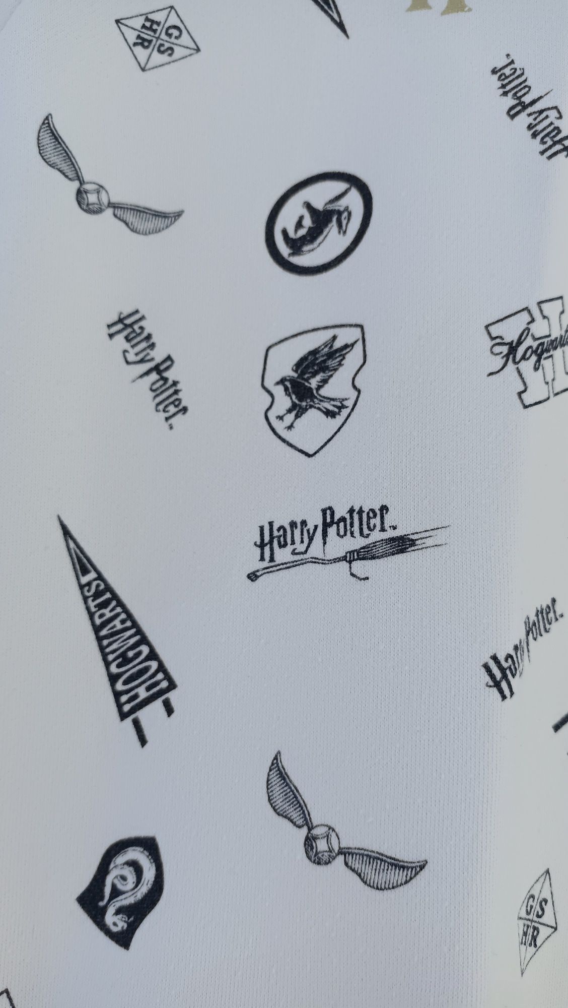 Hoodie Harry Potter