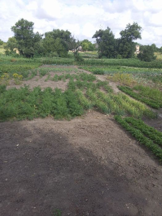 Продається будинок, село Безводня