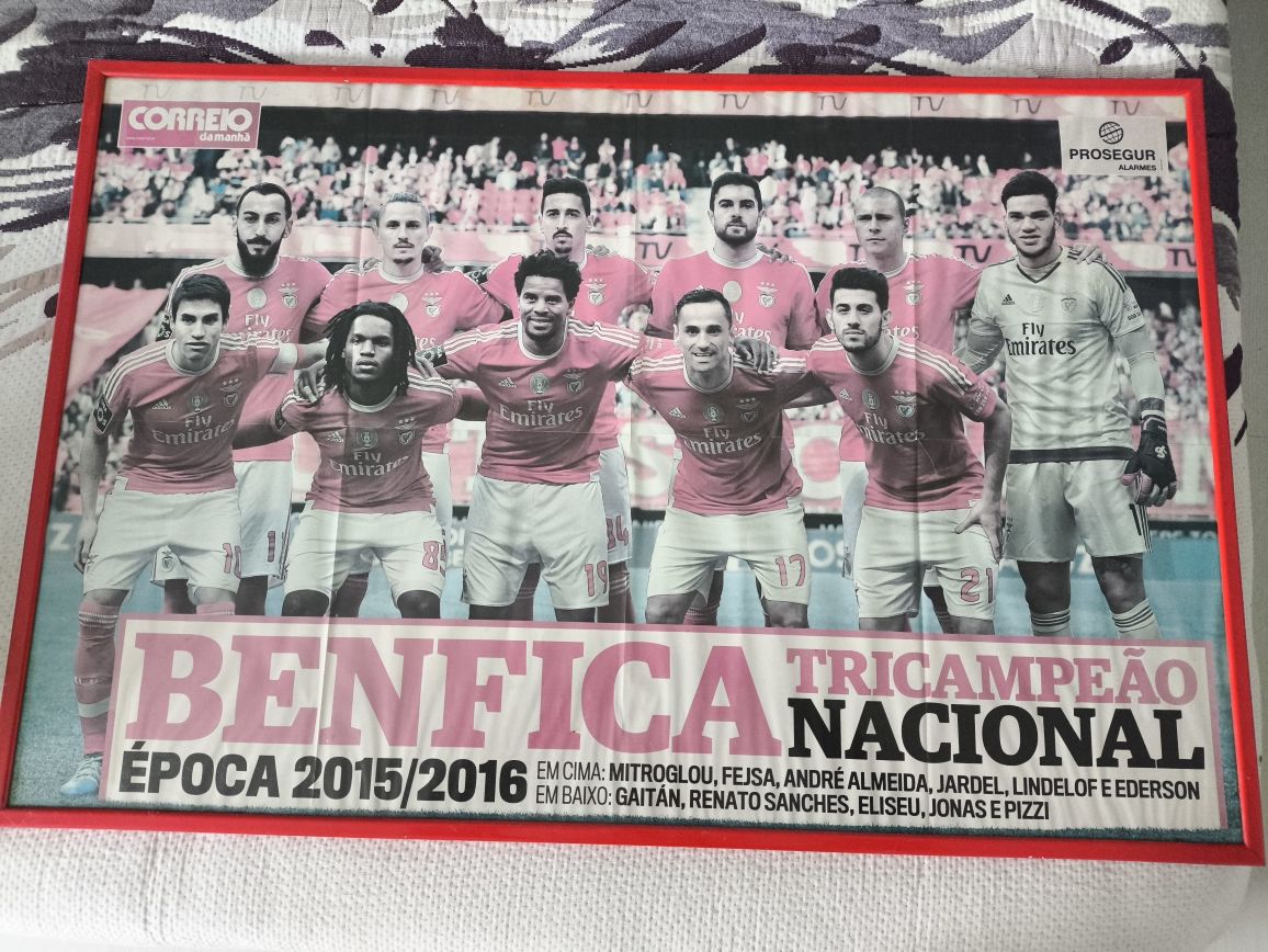 Quadros Benfica Campeão/Bicampeão/tricampeão/Tetracampeão.