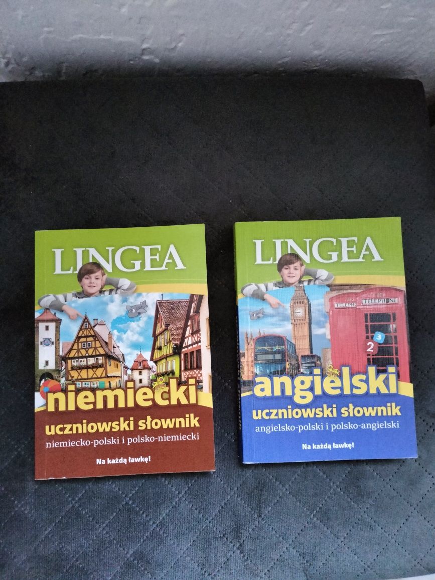 Słowniki szkolne Lingea