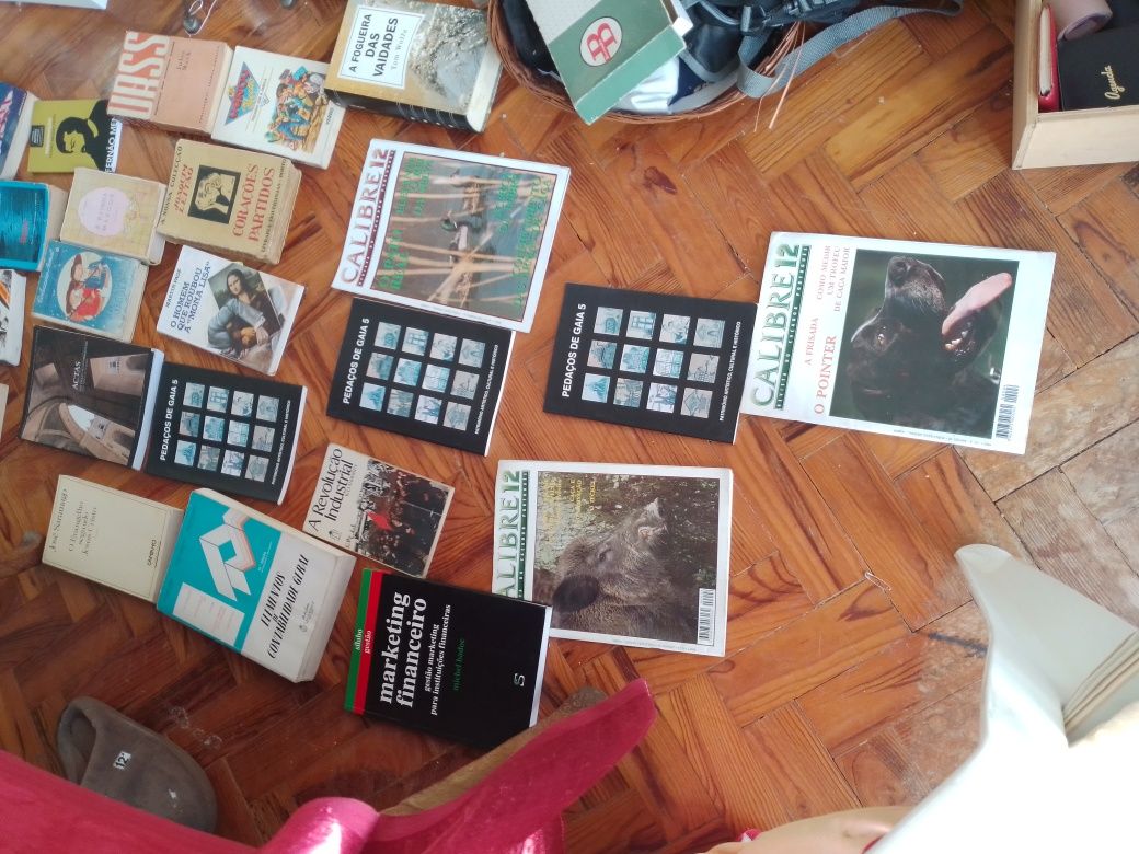 Super Saldos Saramago, outros autores BD muitos mais especiais Desde2E