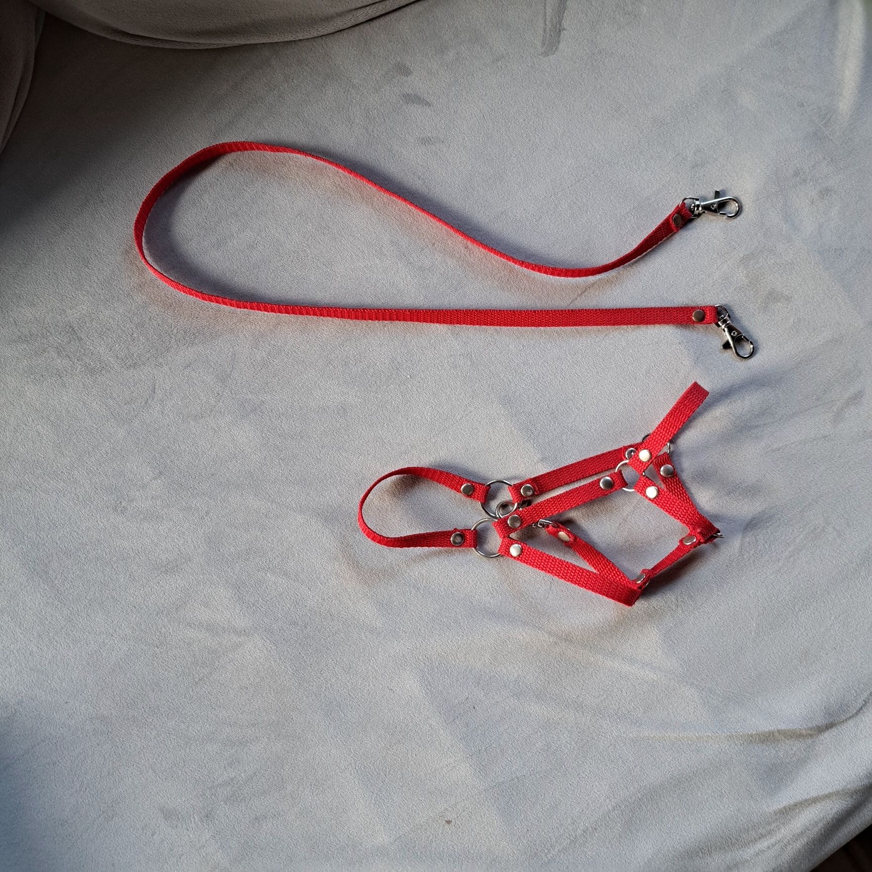 Kantar i wodze dla hobby horse