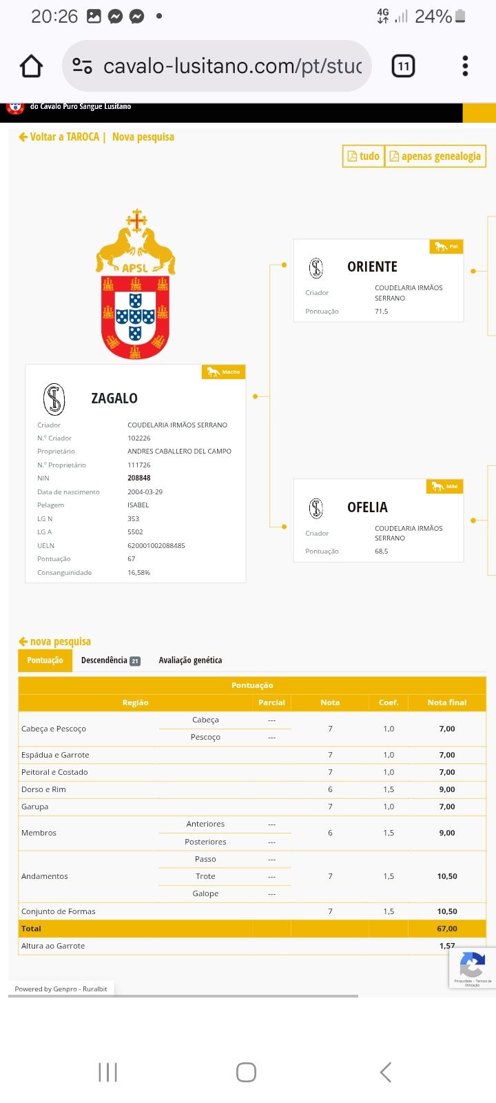 Poldro psl top.  .