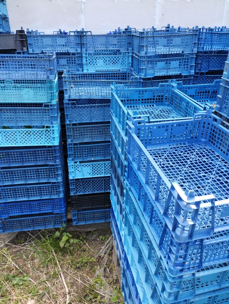 Klatka pieczarkowa, pojemnik