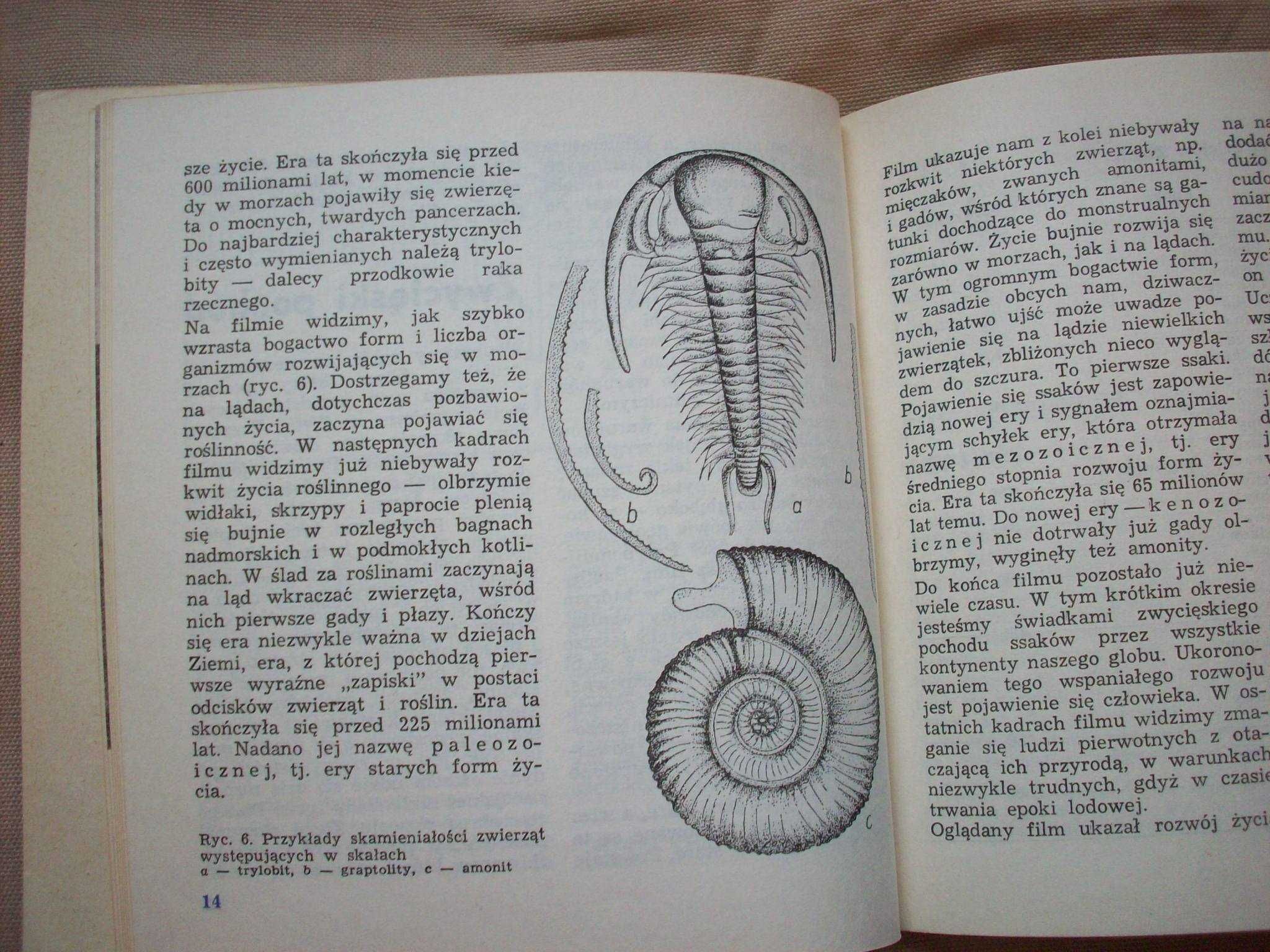 Okolice Wrocławia przewodnik geologiczny, A.Grocholski, 1971.