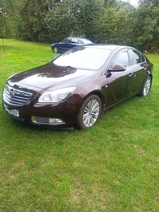 Opel insignia brązowy