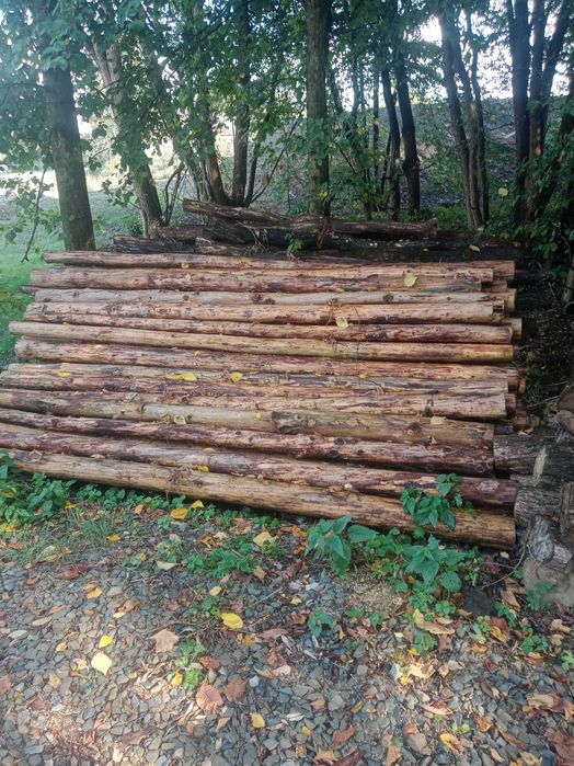 Stemple żerdzie huśtawki dąb modrzew