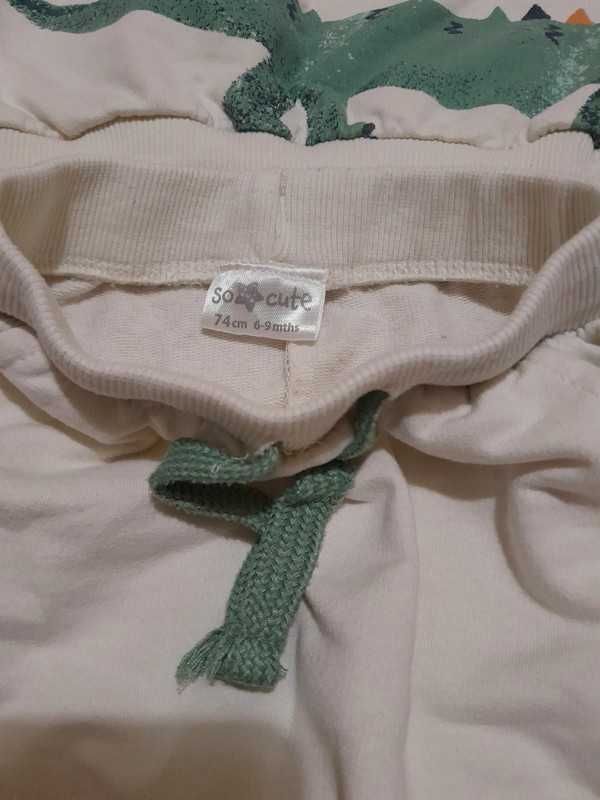 Dres bluza+ spodnie z motywem krokodyla