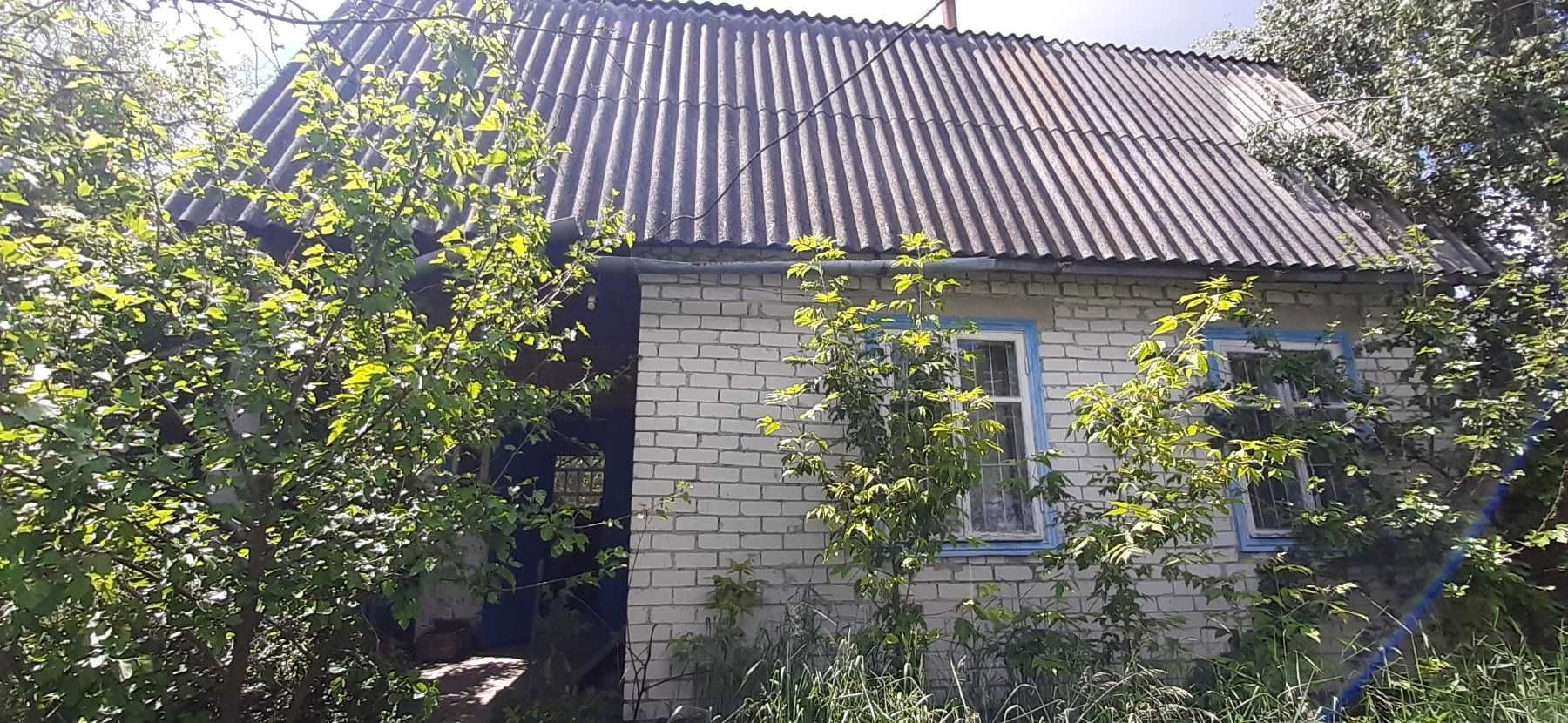 Дача. Ділянка з видом  на каналі Дніпра.