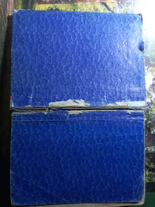 Шульгин В.В. Дни. 1927