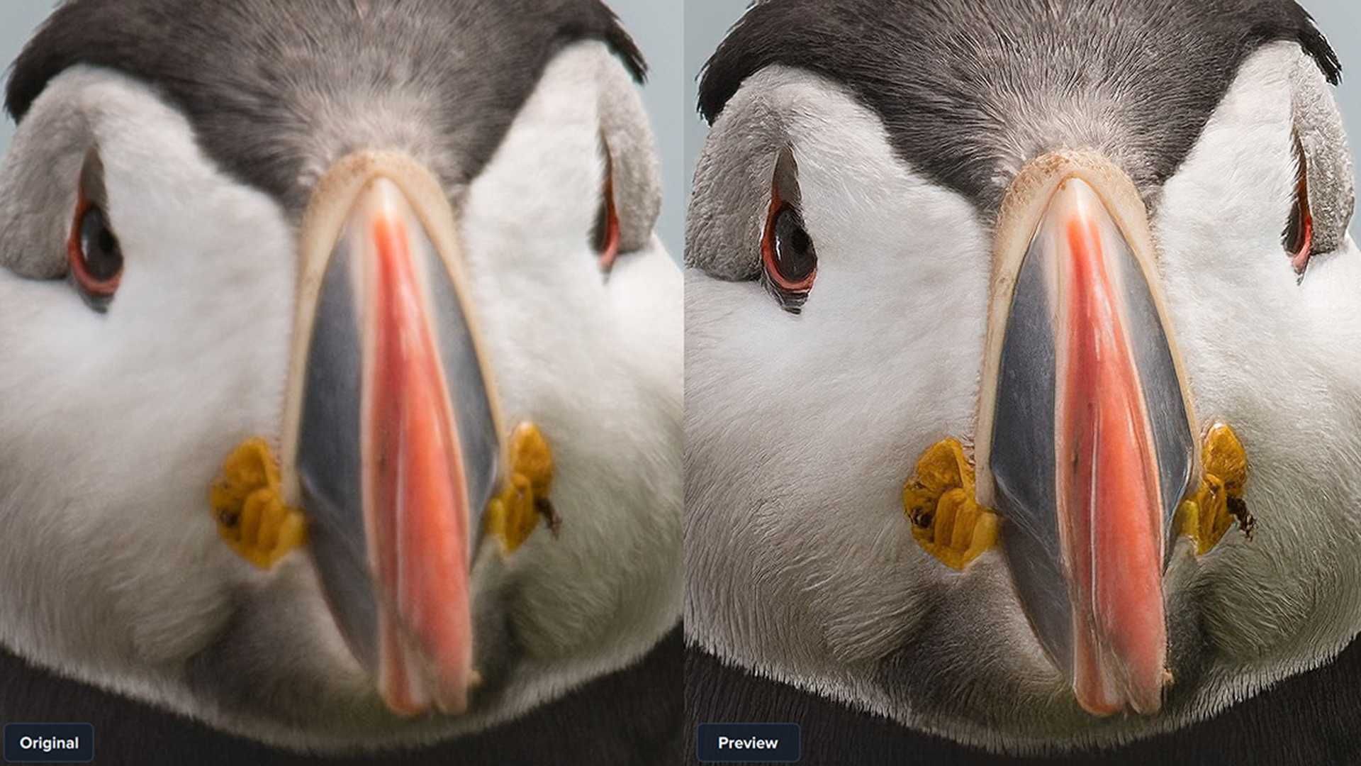 Topaz Gigapixel AI 7 - Windows / MacOS