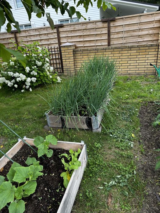 Nadstawki paletowe na warzywniak.