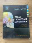 Atlas anatomii człowieka Netter - Łacińskie Mianownictwo ...