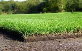 Trawa z rolki / Trawa na siatce