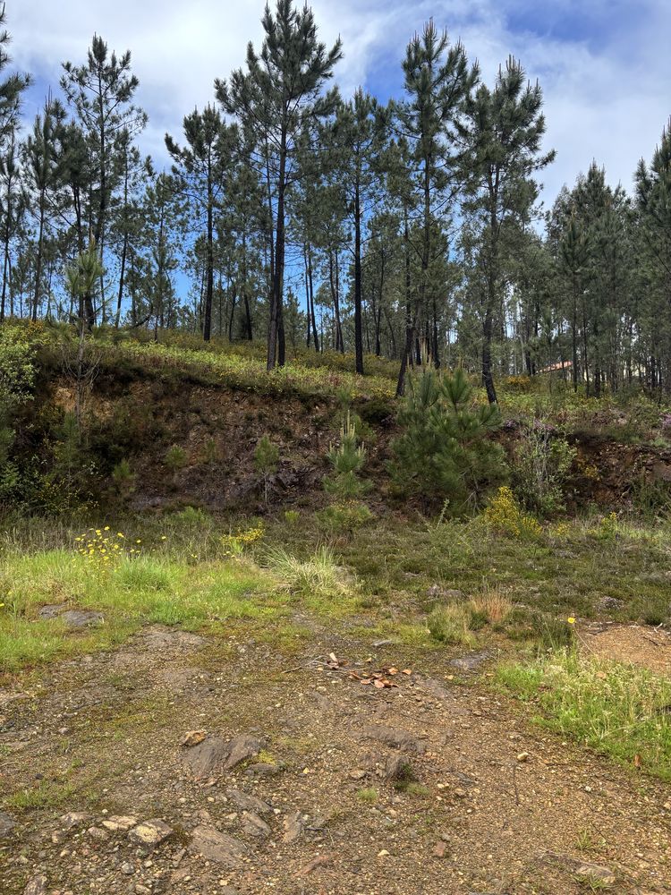 Terreno Calheiros Ponte de Lima