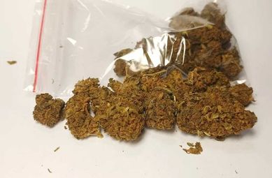 AK-47 susz CBD 30% THCP Ganja (bez HHC-O) Marihuana 1g