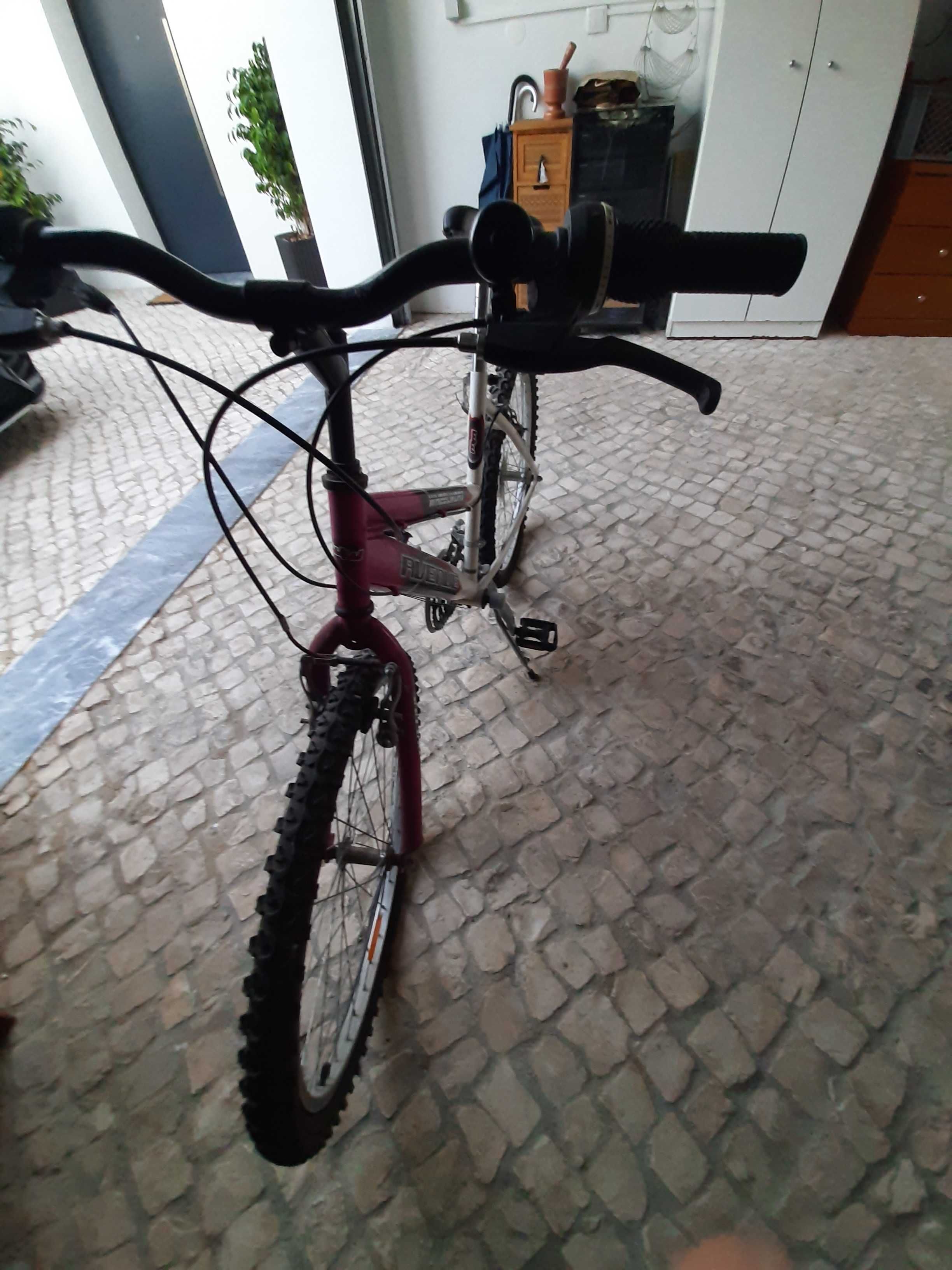 Bicicleta quadro feminino Wheel Worx