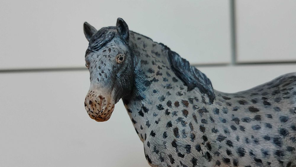 Custom klacz Suffolk Punch Mojo
