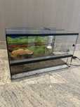 Terarium 50x30x30 z oswietleniem terrarium
