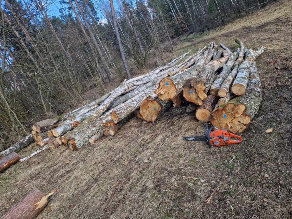 Drewno kominkowe SUCHE, opałowe, transport wywrotka gratis