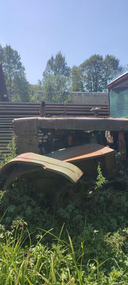 ДТ-75 гусеничний сільськогосподарский трактор загального призначення