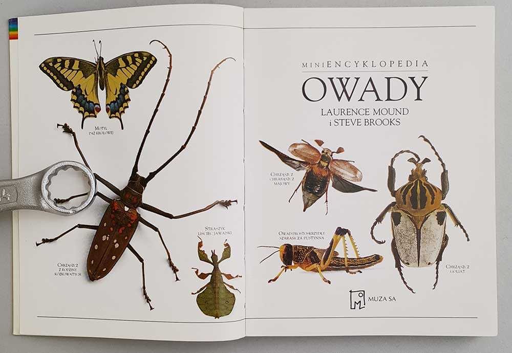 Owady Miniencyklopedia Owady kieszenie pełne wiedzy