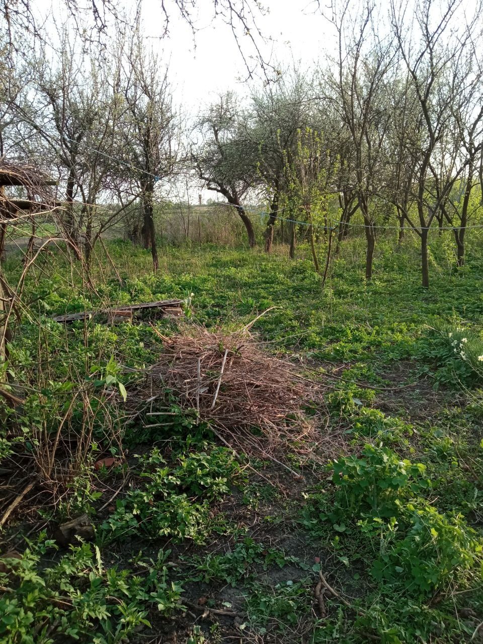 Будинок село Терешківка