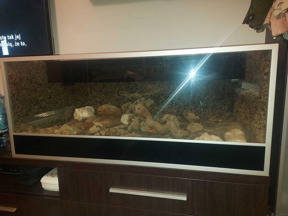 Piękne terrarium 120x 58 cm oswietlenie