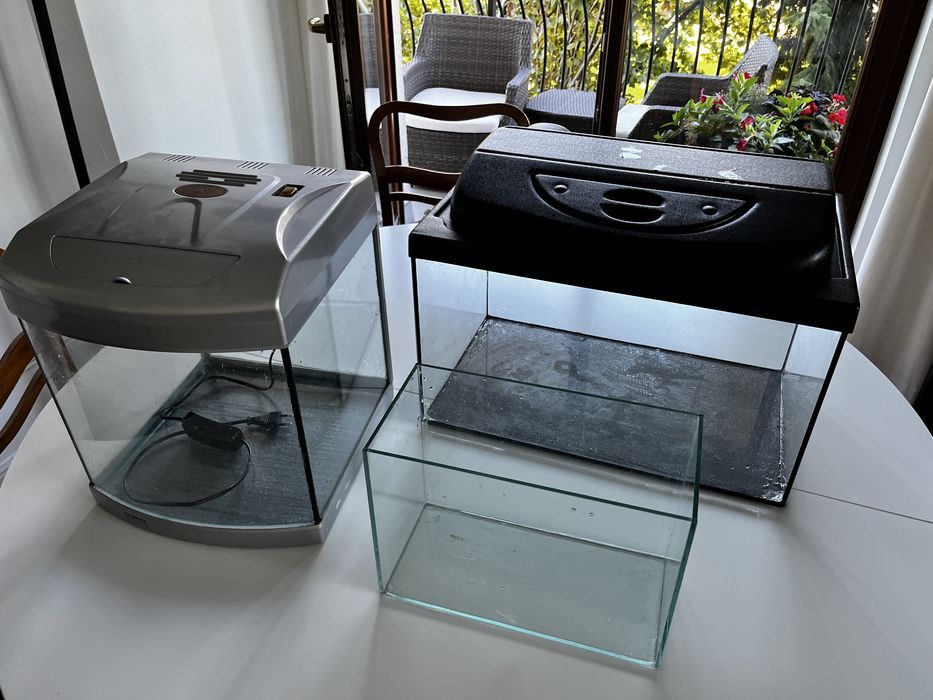 Akwarium, akcesoria, korzeń, oświetlenie, filtr