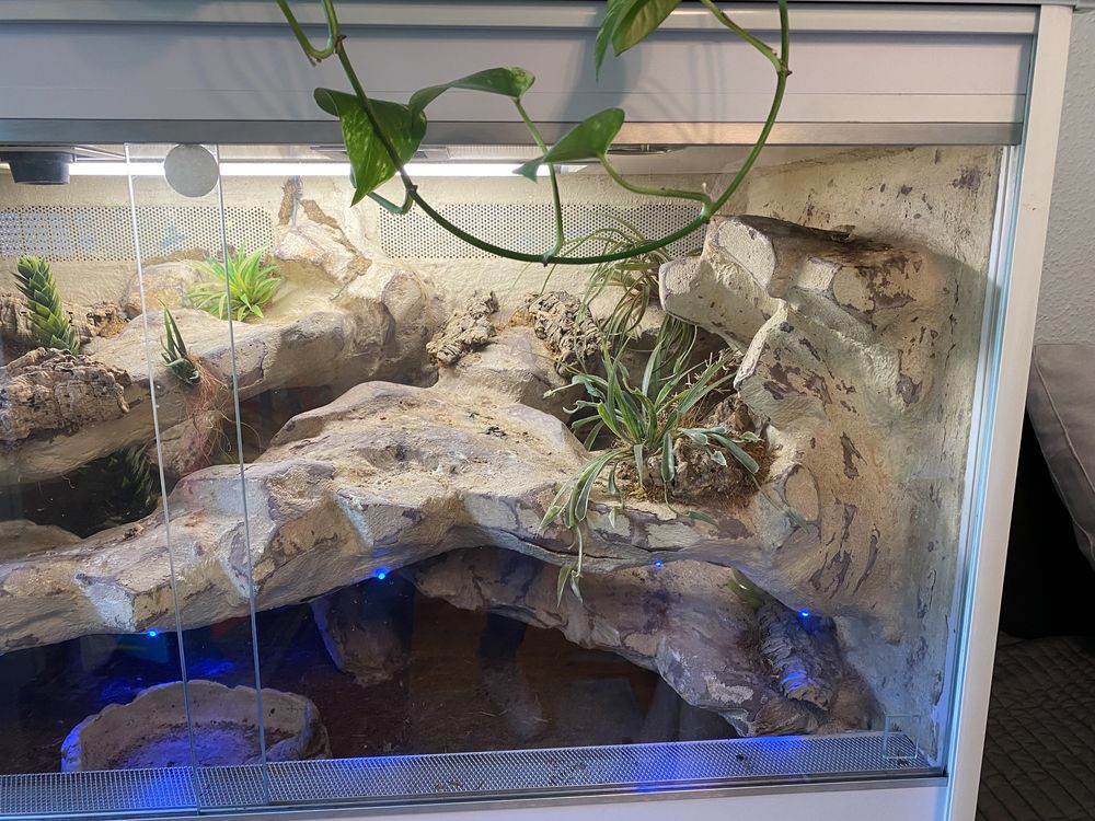 Terrarium kompletne 115x50x60