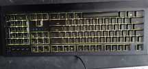 Klawiatura do komputera Razer Cynosa V2