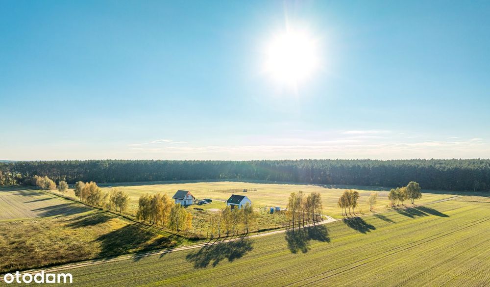 Tam, gdzie brzozy i las tworzą domowy klimat
