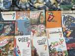 7 ano Livros escolares vários e cadernos de atividades