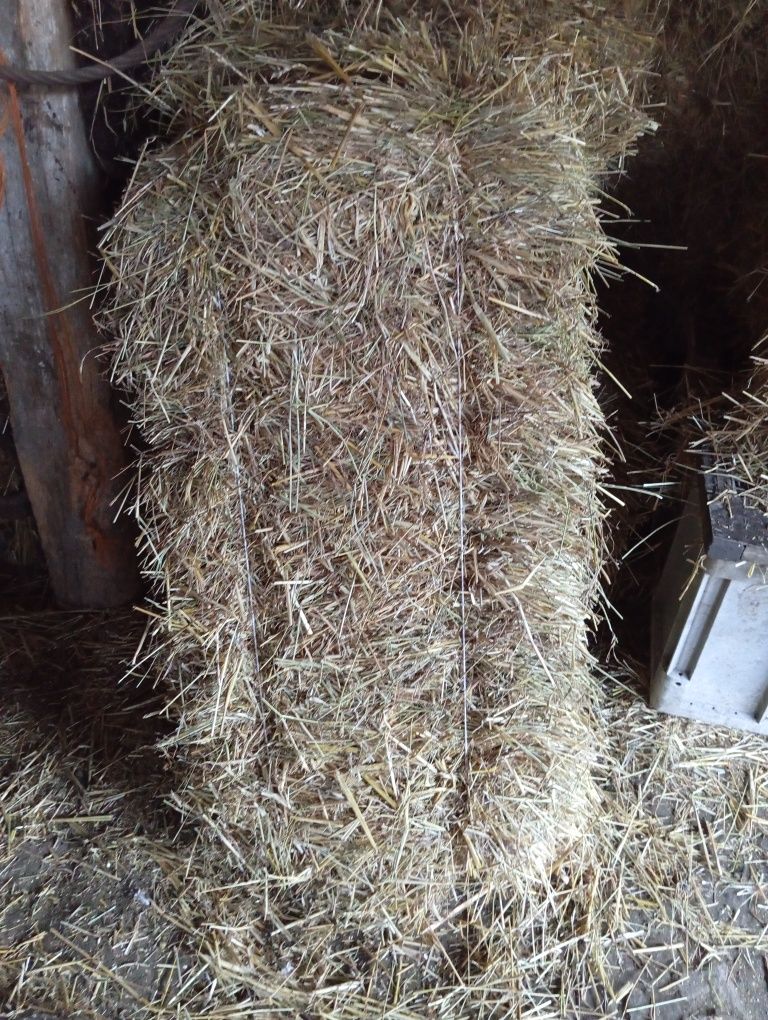 Продам солому в балах